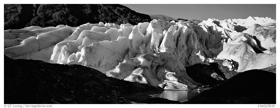 Glacier landscape. Kenai Fjords  National Park (black and white)