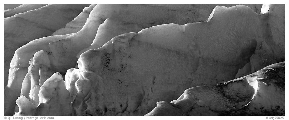 Ice fins on Exit Glacier. Kenai Fjords National Park (black and white)