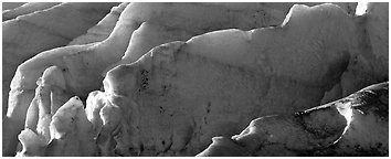 Ice fins on Exit Glacier. Kenai Fjords  National Park (Panoramic black and white)