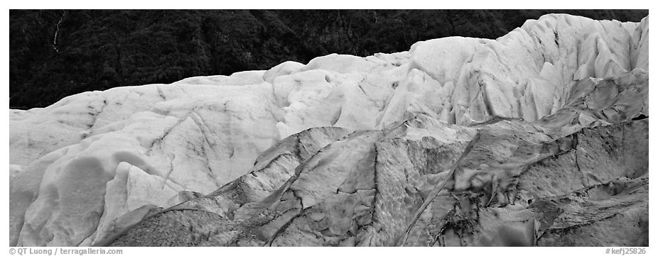 Two ice colors on Exit Glacier. Kenai Fjords  National Park (black and white)