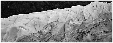 Two ice colors on Exit Glacier. Kenai Fjords National Park (Panoramic black and white)