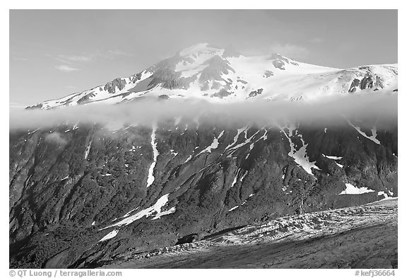 Exit Glacier, low cloud, and peak. Kenai Fjords National Park, Alaska, USA.