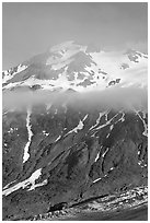 Glacier, and cloud hanging at mid-height of peak. Kenai Fjords National Park, Alaska, USA. (black and white)