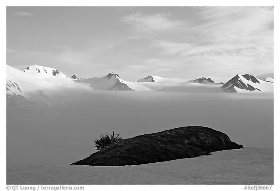Patch of grass emerging from snow cover and mountains. Kenai Fjords National Park, Alaska, USA.