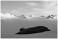 Patch of grass emerging from snow cover and mountains. Kenai Fjords National Park, Alaska, USA. (black and white)
