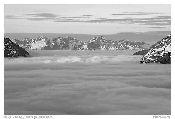 Resurrection Mountains emerging from clouds at sunset. Kenai Fjords National Park, Alaska, USA.