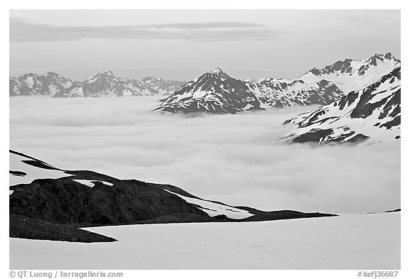 Mountains above low fog at dusk. Kenai Fjords National Park (black and white)