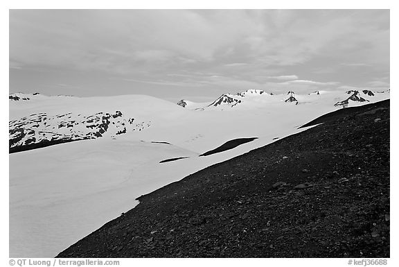 Rocky slope and snow-covered Harding Icefield at dusk. Kenai Fjords National Park, Alaska, USA.