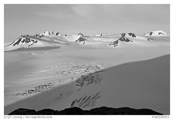 Snow-covered glacier and Harding Ice field peaks, sunrise. Kenai Fjords National Park (black and white)