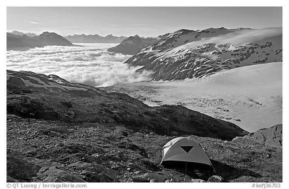 Camping in tent above glacier and sea of clouds. Kenai Fjords National Park, Alaska, USA.