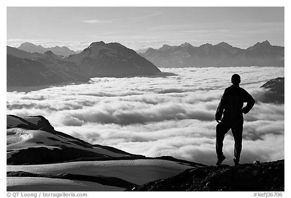 Hiker contemplaing a sea of clouds. Kenai Fjords National Park, Alaska, USA.