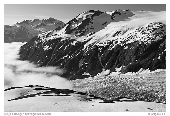 Peaks, glacier, and sea of clouds, morning. Kenai Fjords National Park, Alaska, USA.