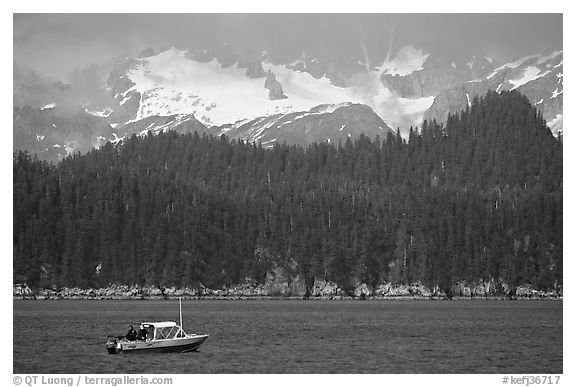 Small boat in Aialik Bay. Kenai Fjords National Park (black and white)