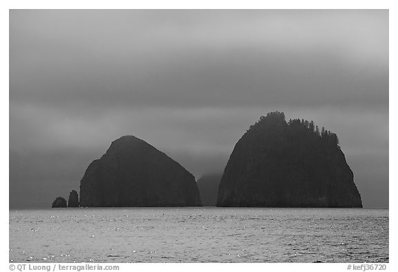 Islands emerging from fog, Aialik Bay. Kenai Fjords National Park, Alaska, USA.