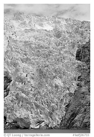 Northwestern tidewater glacier icefall, Northwestern Fjord. Kenai Fjords National Park (black and white)