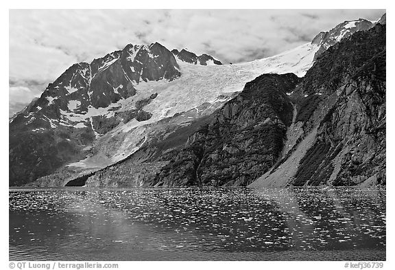 South side of fjord and icebergs, Northwestern Fjord. Kenai Fjords National Park (black and white)