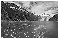 Northwestern Lagoon. Kenai Fjords National Park, Alaska, USA. (black and white)