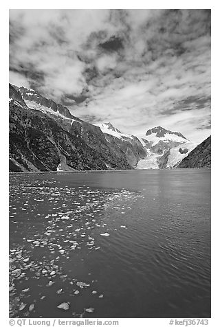 Northwestern Fjord. Kenai Fjords National Park (black and white)