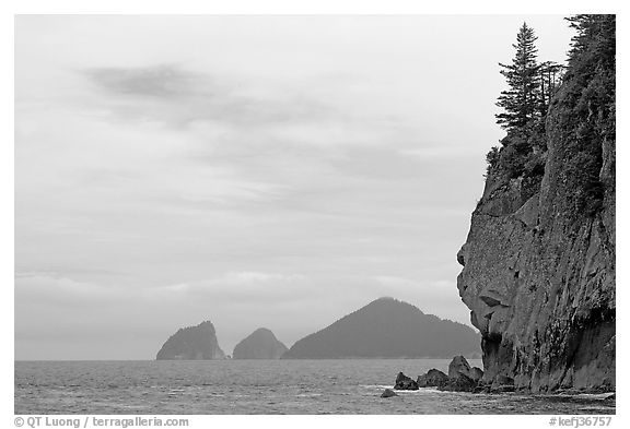 Chiswell Islands. Kenai Fjords National Park (black and white)