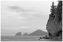 Chiswell Islands. Kenai Fjords National Park, Alaska, USA. (black and white)