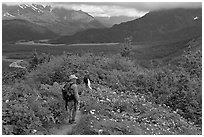 Hikers on Harding Icefield trail. Kenai Fjords National Park, Alaska, USA. (black and white)