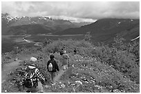 Hikers surrounded by wildflowers on Harding Icefield trail. Kenai Fjords National Park, Alaska, USA. (black and white)