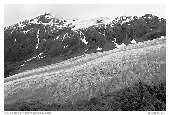Exit glacier flowing down mountainside. Kenai Fjords National Park (black and white)