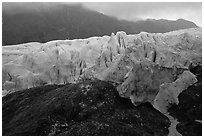 Moraine and Exit Glacier. Kenai Fjords National Park, Alaska, USA. (black and white)