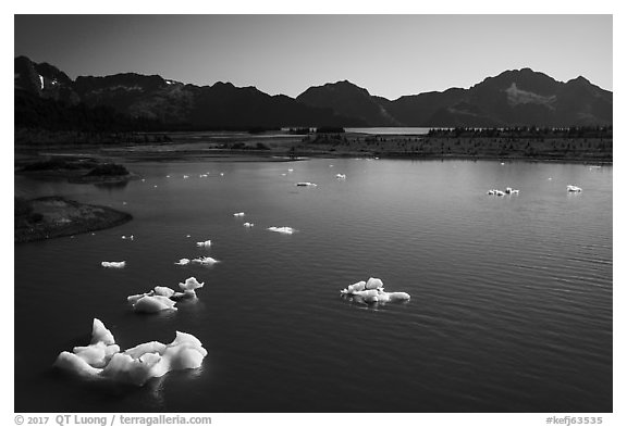 Aerial View of icebergs in Pedersen Lagoon. Kenai Fjords National Park (black and white)