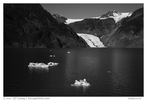 Aerial View of icebergs, Pedersen Lagoon and Glacier. Kenai Fjords National Park (black and white)