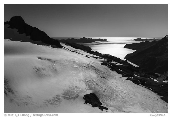 Aerial View of Harding Icefield above Holgate Arm. Kenai Fjords National Park (black and white)