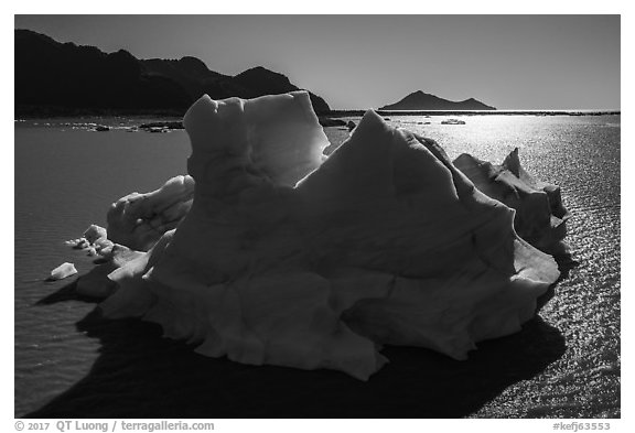 Aerial View of iceberg in Bear Glacier Lagoon. Kenai Fjords National Park (black and white)