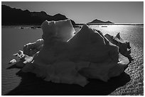 Aerial View of iceberg in Bear Glacier Lagoon. Kenai Fjords National Park ( black and white)