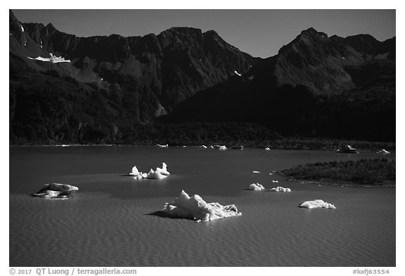 Aerial View of icebergs in Bear Glacier Lagoon. Kenai Fjords National Park (black and white)