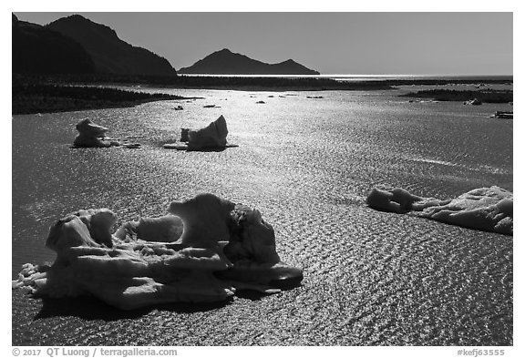 Aerial View of backlit icebergs in Bear Glacier Lagoon. Kenai Fjords National Park (black and white)