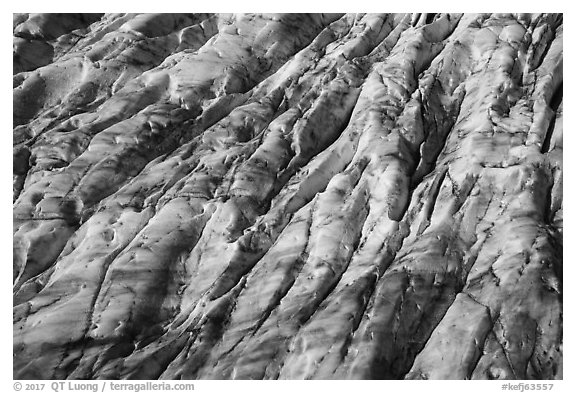 Aerial View of Bear Glacier crevasses. Kenai Fjords National Park (black and white)