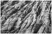 Aerial View of Bear Glacier crevasses. Kenai Fjords National Park ( black and white)