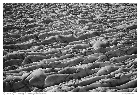 Aerial View of crevasses on Bear Glacier. Kenai Fjords National Park (black and white)