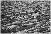 Aerial View of crevasses on Bear Glacier. Kenai Fjords National Park ( black and white)