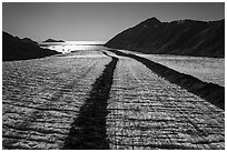 Aerial View of Bear Glacier and Resurrection Bay. Kenai Fjords National Park ( black and white)