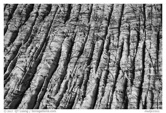 Aerial View of crevassed surface of Bear Glacier. Kenai Fjords National Park (black and white)