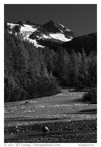 Stream and Phoenix Peak, Exit Glacier outwash plain. Kenai Fjords National Park (black and white)