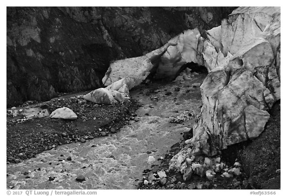 Terminus of Exit Glacier, 2016. Kenai Fjords National Park (black and white)