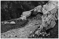 Terminus of Exit Glacier, 2016. Kenai Fjords National Park ( black and white)