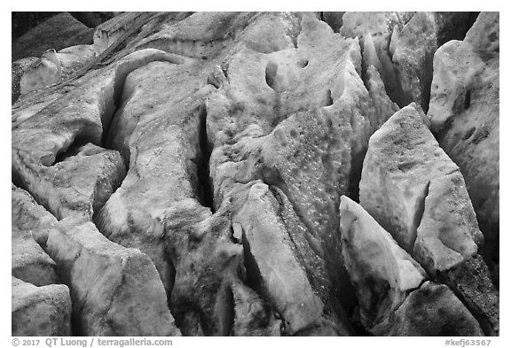 Crevasses on Exit Glacier. Kenai Fjords National Park (black and white)