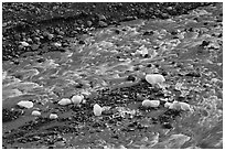 Glacial stream and icebergs. Kenai Fjords National Park ( black and white)