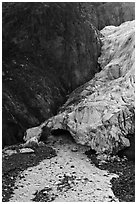 Base of Exit Glacier, 2016. Kenai Fjords National Park ( black and white)