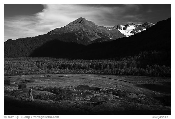 Visitor looking, Exit Glacier outwash plain. Kenai Fjords National Park (black and white)