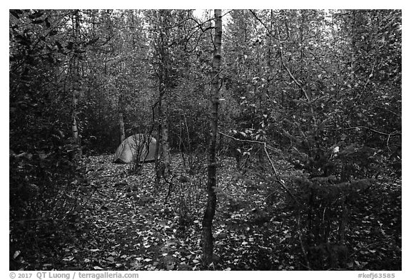 Campground. Kenai Fjords National Park (black and white)