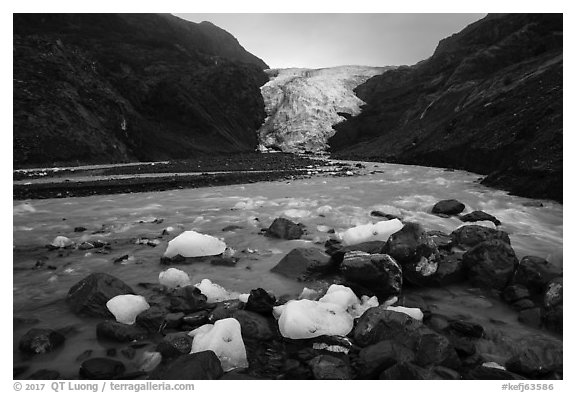 Icebergs and Exit Glacier, 2016. Kenai Fjords National Park (black and white)